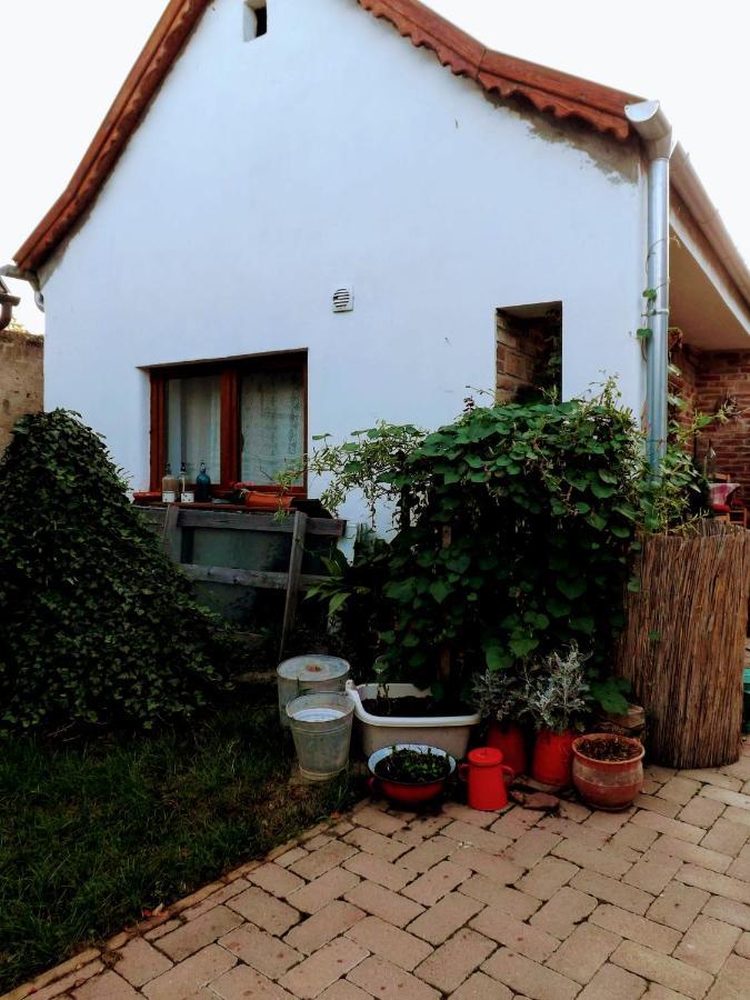 Mives Vendeghaz Hotel Pogány Екстериор снимка